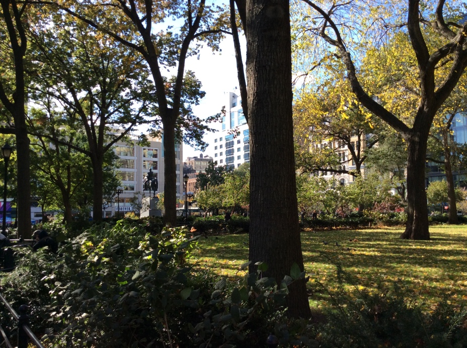 In Union Park, NYC, facing south, photo 2014 Amy Cools